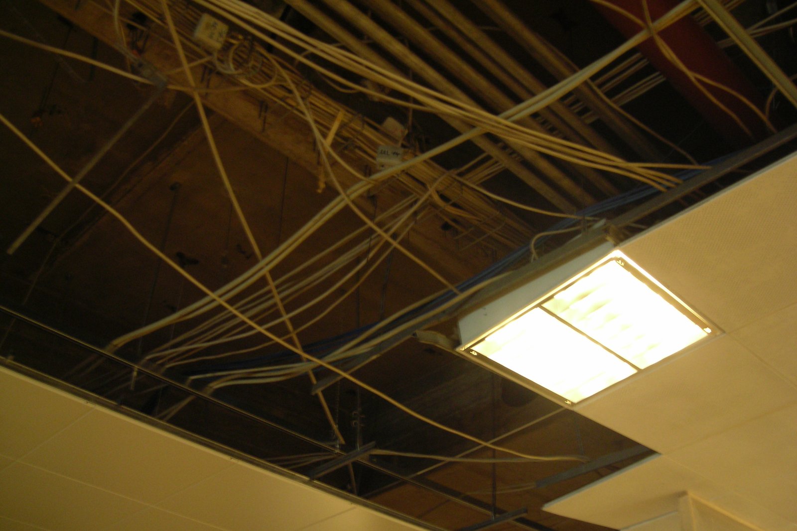 Faux plafond ouvert dans un magasin : dalles retirées laissant voir des faisceaux de câbles et des gaines au-dessus d'un luminaire