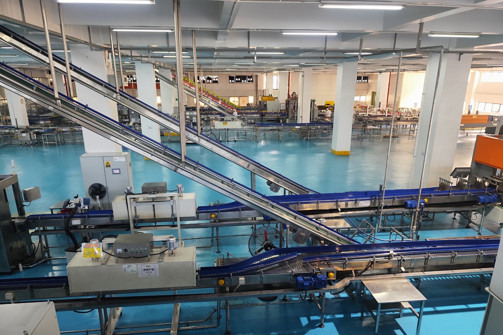 Ligne de production d'une usine agroalimentaire moderne : convoyeurs inclinés en inox et bandes bleues au-dessus d'un sol bleu, dans un grand atelier lumineux